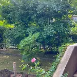 Lejlighed Dimora Luciano Peaceful Surrounded By A Beautiful Garden *